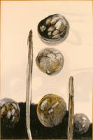 Gkn_239 Gkn_239